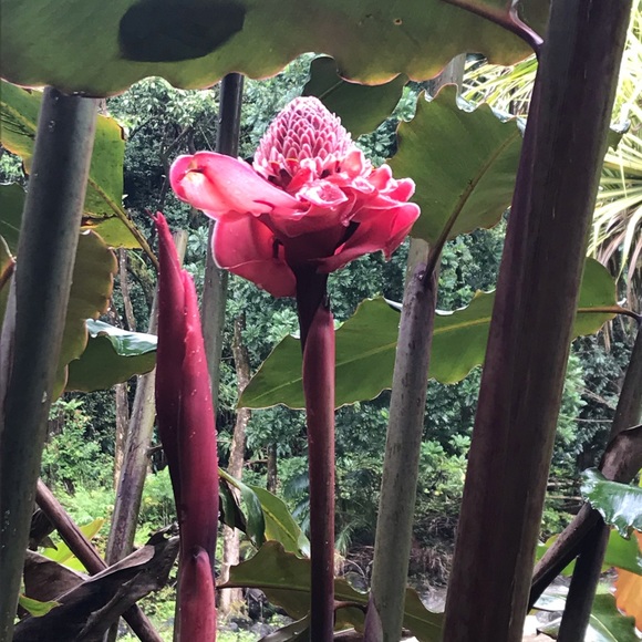 Meet your Posher - Picture 9 of 11